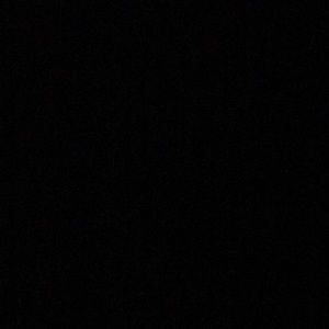 Meet your Posher, Travis